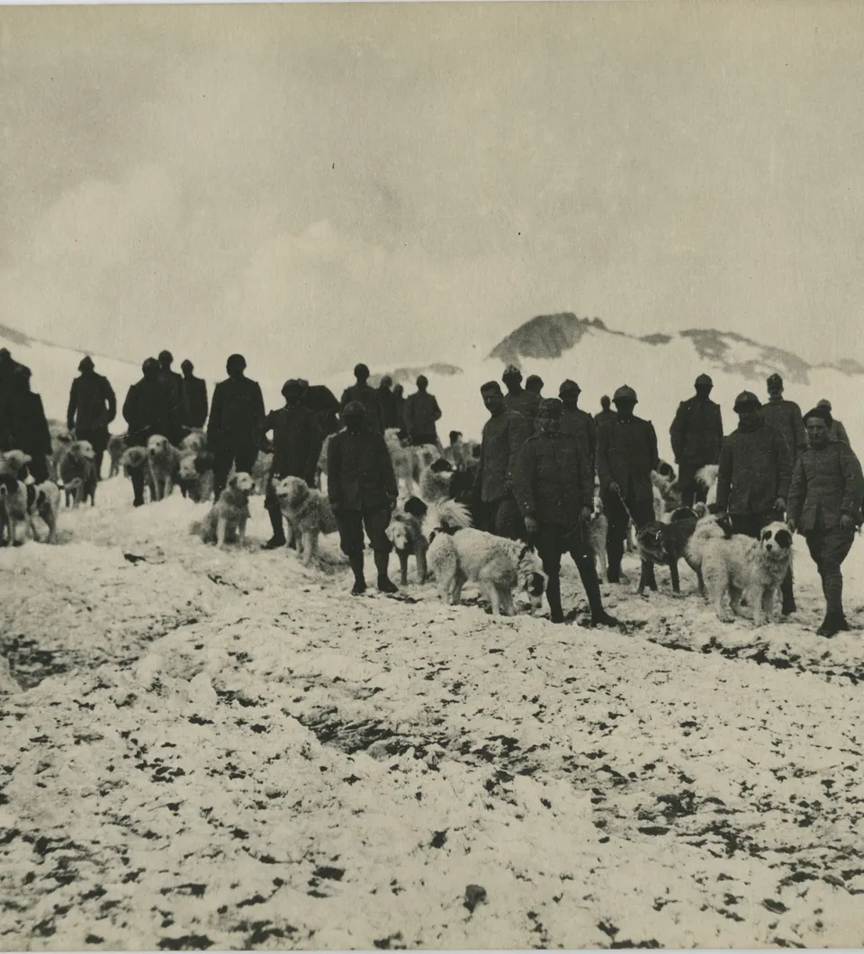 la guerra in montagna