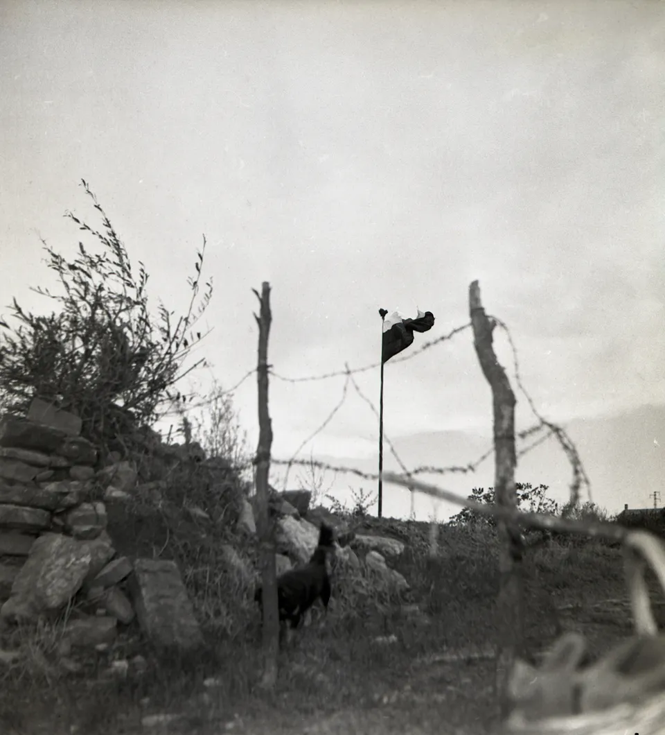 Yugoslavi al confine 1954 RO005117_033 Proprietà della Fondazione CRTrieste in deposito presso la Fototeca dei Civici Musei di Storia ed Arte